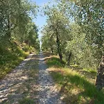 Podere L'ulivo *