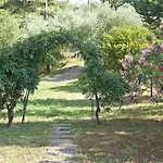 Podere L'ulivo