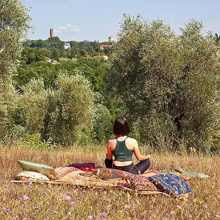 Podere L'ulivo