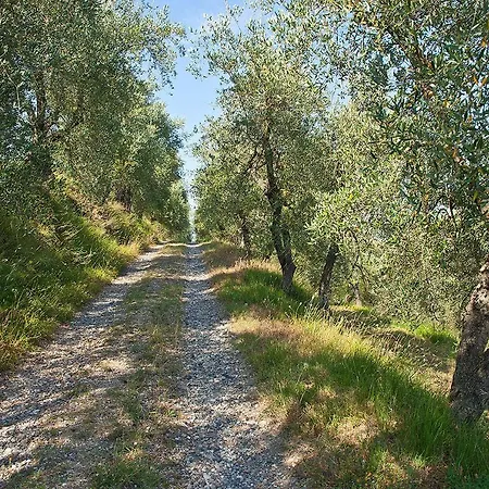 Podere L'ulivo *